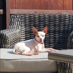 Meet your Posher, Mary